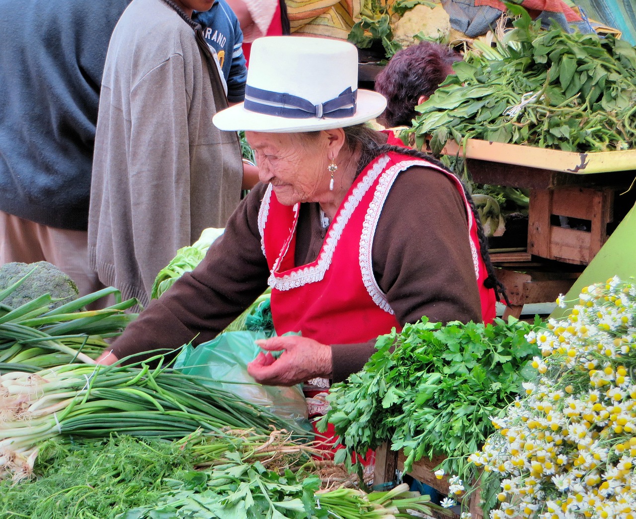 Glimpses of Ecuador's Inti Raymi - The Festival of the Sun